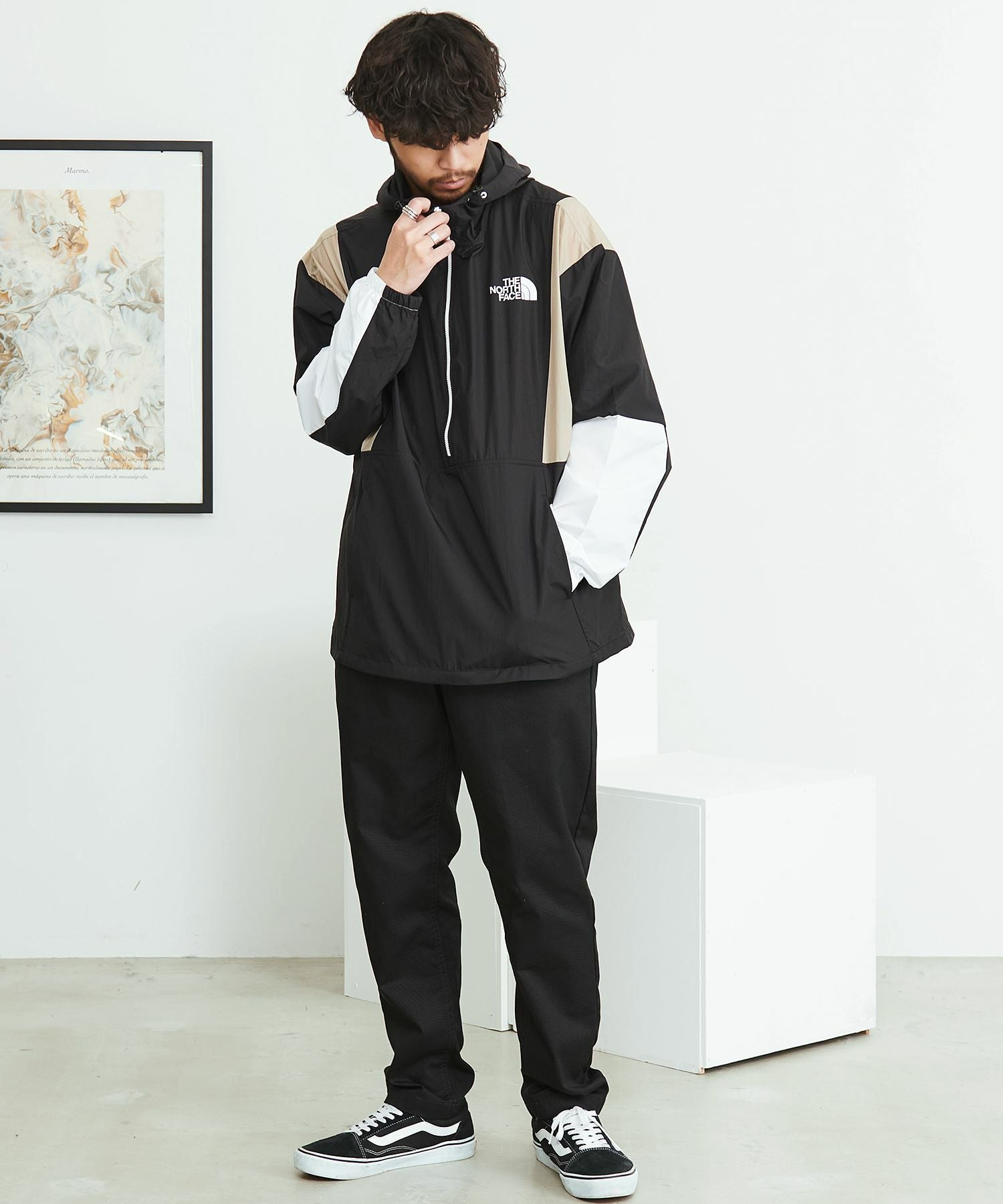 ブルゾン メンズ THE NORTH FACE(ザノースフェイス)RESTON ANORAK/全1色